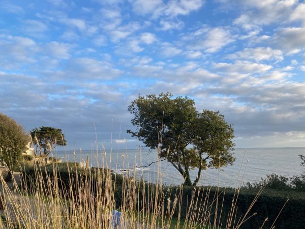 Lire la suite à propos de l’article Commencer l’année au bord de la mer à Pornic