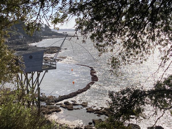 Lire la suite à propos de l’article Entre deux marées : les écluses à poissons de Pornic